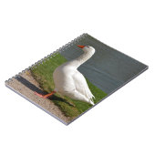 Weiße Gänse in der Nähe des Teiches Notizblock (Linke Seite)