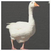 Weiße Gänse - Schwarz Stoff (Nahaufnahme)