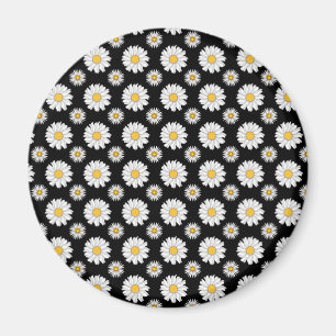 Weiße Gänseblümchen auf schwarzem Hintergrund Magnet