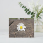 Weiße Gänseblümchen-Blume Postkarte (Stehend Vorderseite)
