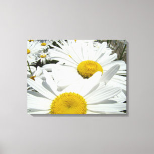 Weiße Gänseblümchen-Blumen-Gartenkunst-Drucke Gäns Leinwanddruck