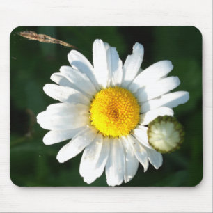 Weiße Gänseblümchen-Blumen-Mauspad Mousepad