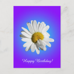 Weiße Gänseblümchen-Blumenflorale lila blaue Abstu Postkarte