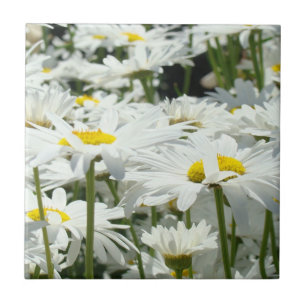 Weiße Gänseblümchen Fliesen Kunst Home Decor Gänse
