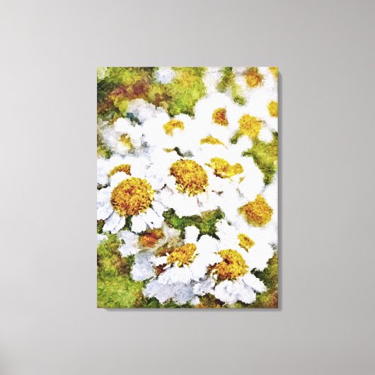 Weiße Gänseblümchen - Gemälde auf Leinwand (Vorderseite)