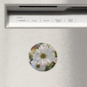 Weiße Gänseblümchen-Magnet Magnet (In Situ (Geschirrspüler))