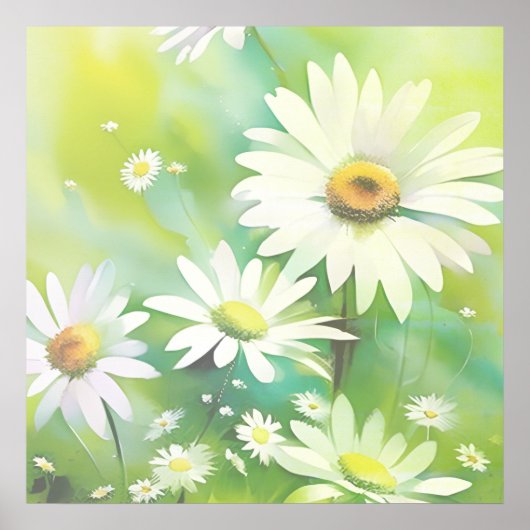 Weiße Gänseblümchen Poster (Vorne)