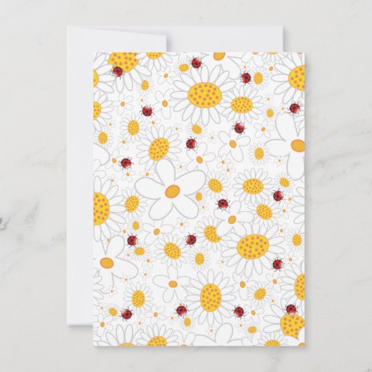 Weiße Gänseblümchen und rotes Einladung (Rückseite)