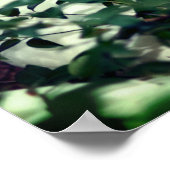 Weiße Gänseblume in Bushes Poster (Ecke)