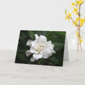 Weiße Gardenia-Blume Karte (Gelbe Blume)
