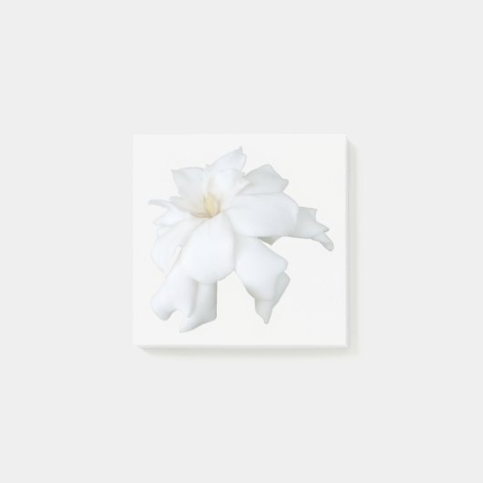 Weiße Gardenia-Haftnotizen Post-it Klebezettel (Vorderseite)