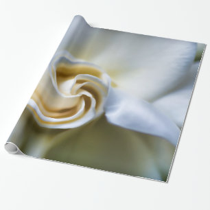 Weiße Gardenia-Illustration Geschenkpapier