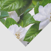 Weiße Gärten und Blume Seidenpapier (Detail)