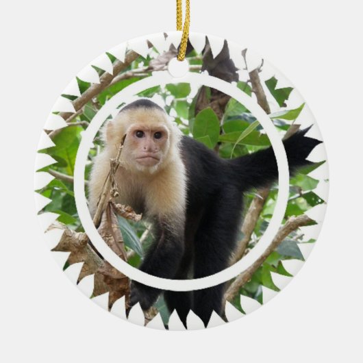 Weiße gegenübergestellte Capuchin-Affe-Verzierung Keramik Ornament (Vorne)