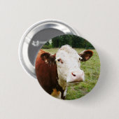 Weiße gegenübergestellte Rindfleisch-Kuh Button (Vorne & Hinten)