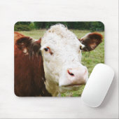 Weiße gegenübergestellte Rindfleisch-Kuh Mousepad (Mit Mouse)