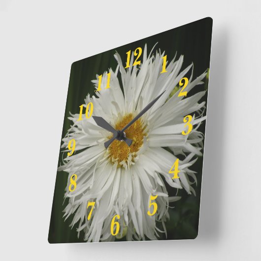 Weiße gelbe Blume Quadratische Wanduhr (Winkel)