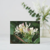 Weiße Gelbe Honigsuckle DIY Postkarte (Stehend Vorderseite)