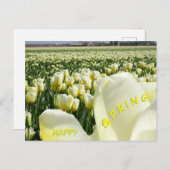 Weiße gelbe Tulips Frohes Frühjahr Postkarte (Vorne/Hinten)