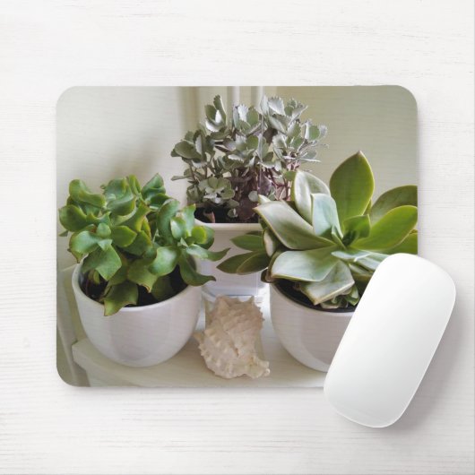 Weiße gepolsterte Sukkulente mit Seashell Mousepad (Mit Mouse)