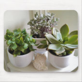 Weiße gepolsterte Sukkulente mit Seashell Mousepad (Vorne)