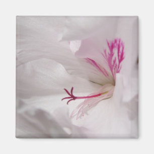 Weiße Geranien-Blüten-Magnet Magnet