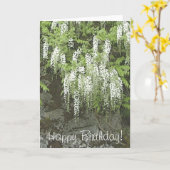 Weiße Glyziniegeburtstagskarte Karte (Gelbe Blume)