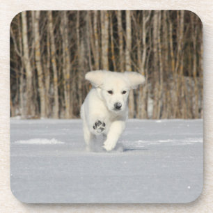 Weiße, goldene Retriever Welpe im Schnee Getränkeuntersetzer