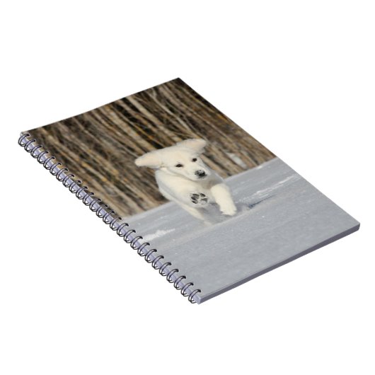 Weiße, goldene Retriever Welpe im Schnee Notizblock (Rechte Seite)