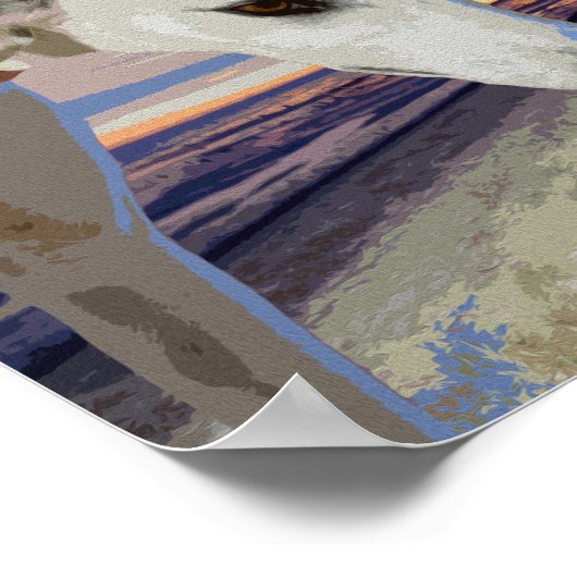 Weiße Grauhosenölfarbe, Poster (Ecke)