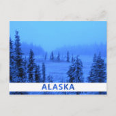 Weiße Grenze für Ihr Foto in Alaskan Postkarte (Vorderseite)