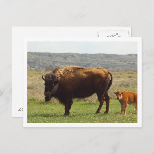 Weiße Grenze Postkarte (Vorne/Hinten)