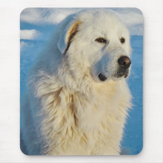 Weiße große Pyrenäen Tierschützer Hund Mousepad (Vorne)
