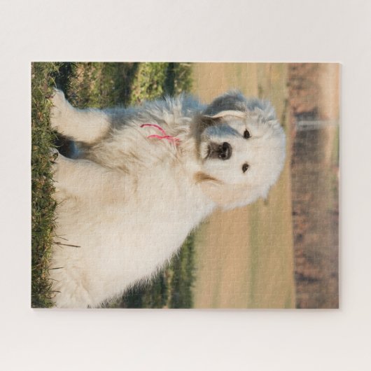 Weiße große Pyrenäen Tierschützer Welpe Puzzle (Horizontal)
