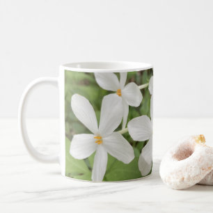 Weiße grüne Foto Tasse