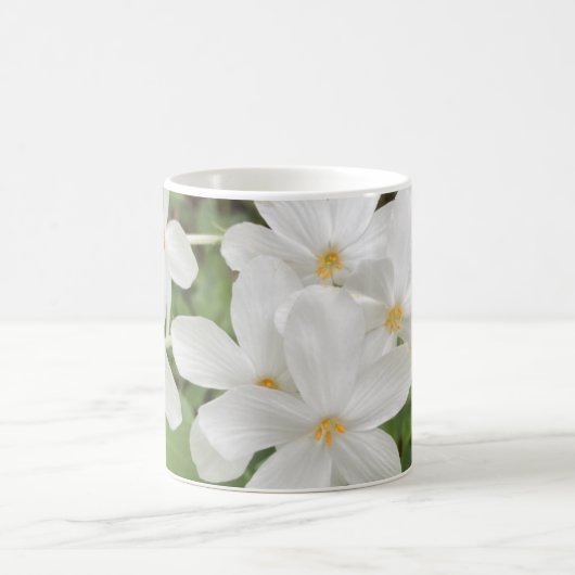 Weiße grüne Foto Tasse (Mittel)