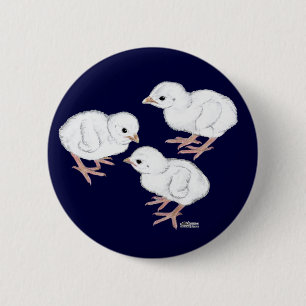 Weiße Guinea-Küken Button