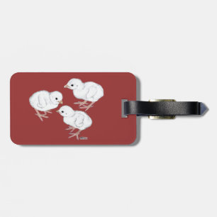 Weiße Guinea-Küken Gepäckanhänger