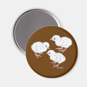 Weiße Guinea-Küken Magnet (Vorderseite/Rückseite)