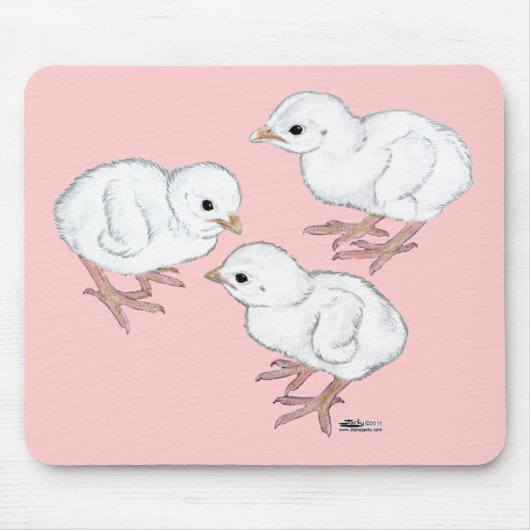 Weiße Guinea-Küken Mousepad (Vorne)