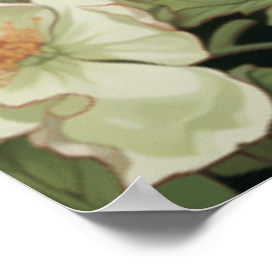 Weiße Guinea Pig Blumenhintergrund Poster (Ecke)