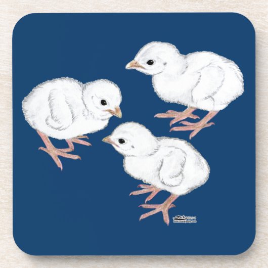 Weiße Guinea Untersetzer (Vorderseite)