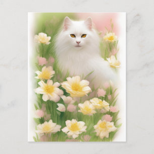 Weiße Haarkatze Postkarte