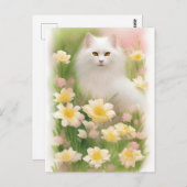 Weiße Haarkatze Postkarte (Vorne/Hinten)