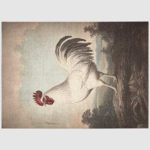 Weiße Hahn-Illustration Vintage-Decoupage Seidenpapier