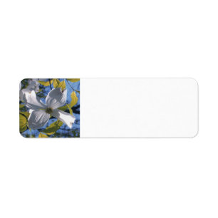 Weiße Hartriegel-Blüten-kundenspezifischer