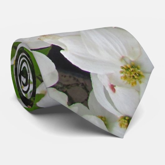 Weiße Hartriegel ~ Krawatte (Gerollt)