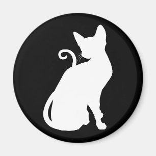 Weiße Hauskatze Magnet