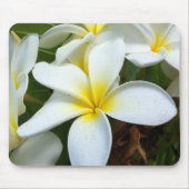 Weiße Hawaiiplumeria-Blume Mousepad (Vorne)