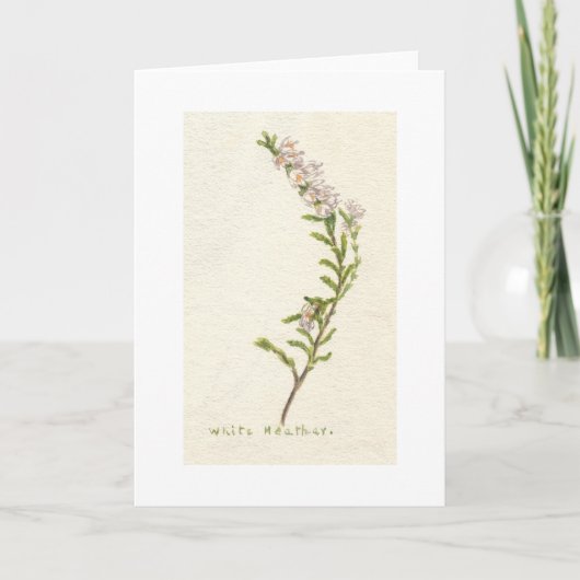 Weiße Heide Karte (Vorderseite)